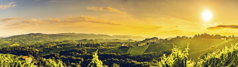 Sunny panorama of grape hills on Vineyards in south Austria. Vivid contrast high resolution