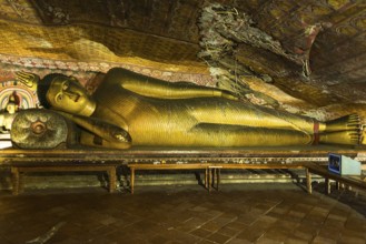 The golden temple of Dambulla is world heritage site and has a total of a total of 153 Buddha