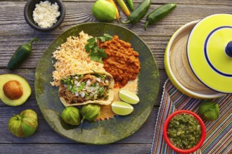 Mexican carnitas tacos with salsa and Mexico food ingredients