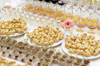 A lot of cold snacks on buffet table, catering