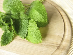 A bunch of lemon balm