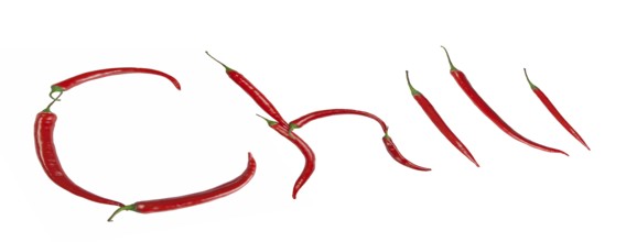 Chili inscription, with clipping path