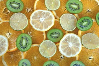 Kiwi, lime, lemon, orange slices background
