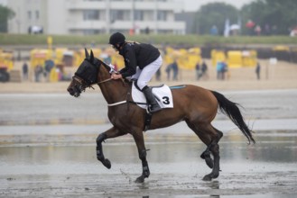 Wadden race in Cuxhaven. Horse race in Cuxhaven