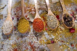 Presentation of mixed spices needed for international cuisine