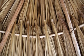 Palm tree leaves in sunroof palapa hut traditional roofing in Mexico