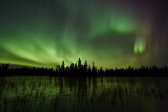 Northern Lights (Aurora borealis), Muddus National Park, Lapnia World Heritage Site, Norrbotten,