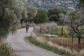 Cyclist on the road, Mancor de la Vall, Mallorca, Balearic Islands, Spain, Europe