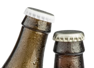 Beer bottles isolated studio shot. Close up Brown bottles