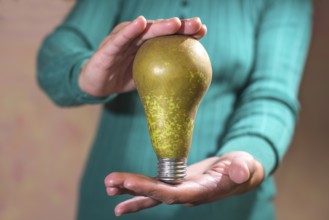 Eco energy lamp pear conception