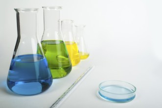 Laboratory glassware equipment. Laboratory beakers filled with colored liquid substances