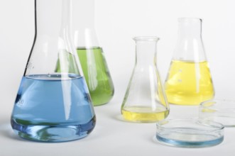Laboratory glassware equipment. Laboratory beakers filled with colored liquid substances