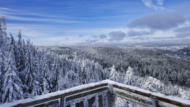 View from the Ellbachseeblick viewing platform in the Northern Black Forest nature park Park