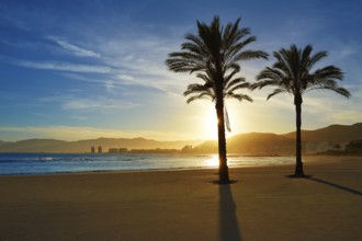 Cullera Playa los Olivos beach sunset in Mediterranean Valencia at Spain