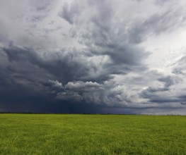 Supercell storm clouds above meadow with green grass Summer Storm clouds
