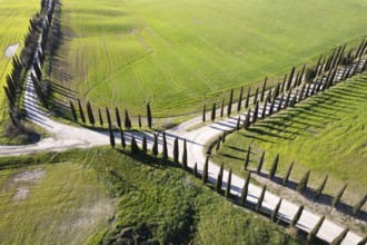 Aerial photographic documentation of a white road in Tuscany Italy