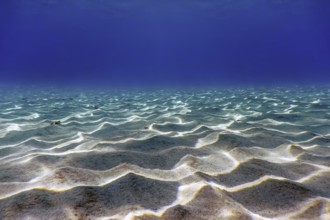 Sandy sea bottom Underwater background