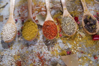 Presentation of mixed spices needed for international cuisine