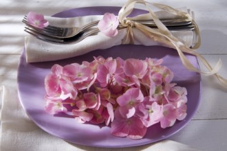 Using the hydrangea flower for the preparation of the table