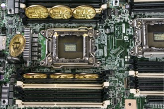 Golden Bitcoin Cryptocurrency on computer circuit board. Blockchain and security concept