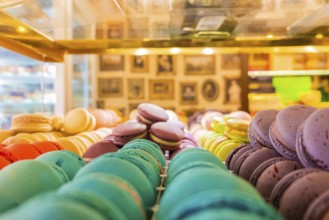 Close-up of macarons cakes of different colors in a patisserie. Culinary and cooking concept. Tasty