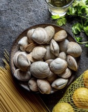 Food, Food, Ingredients for preparation spaghetti with clams, raw fresh clams, spaghetti coriander,