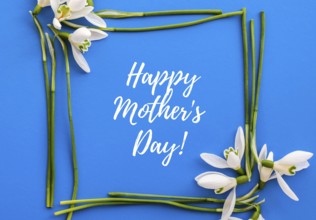 Happy Mothers Day lettering greeting card. Spring flowers snowdrop. Best mom ever. Beautiful tender