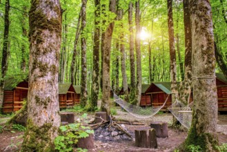 Sunrise in camping of Biogradska Gora National Park, Montenegro, Europe
