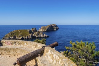 Old cannon cannon overhang the marine reserve of the Malgrats Islands northwest of the island of