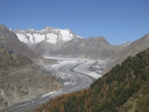 Unique Ice Stream