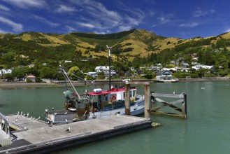 Harbour of Akaroa, a small town in the Canterbury region, South Island, New Zealand, Oceania