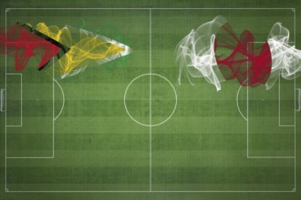 Guyana vs Japan Soccer Match, national colors, national flags, soccer field, football game,