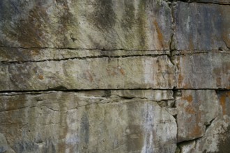 Lettenkeuper sandstone, sandstone, Lettenkeuper, quarry, quarrying, sandstone, Schwäbisch Hall,