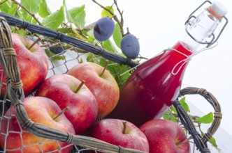 Apple plums juice