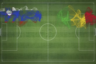 Slovenia vs Mali Soccer Match, national colors, national flags, soccer field, football game,