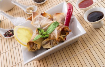 Spring roll