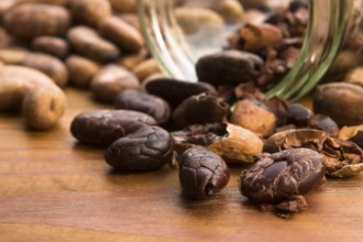 Cocoa (cacao) beans on natural wooden table, lodz, poland