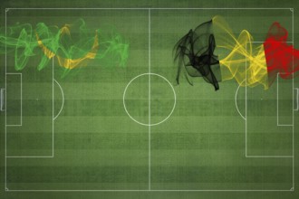 Mauritania vs Belgium Soccer Match, national colors, national flags, soccer field, football game,