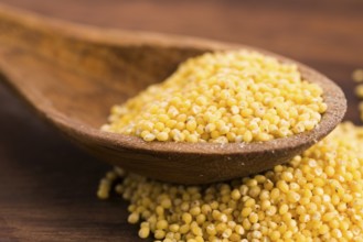 Millet on wooden spoon