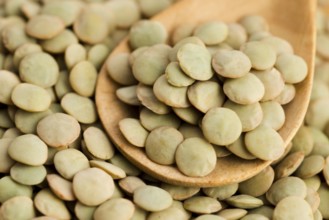 Dry Organic Green Lentils, lodz, poland