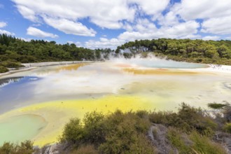 An image of geothermal activity at Rotorua in New Zealand