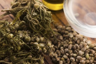 Cannabis extract with leaves