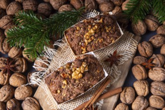 Delicious apple chocolate cake with hazelnuts