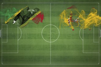 Saint Kitts and Nevis vs Spain Soccer Match, national colors, national flags, soccer field,