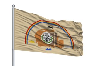 Navajo Indian Flag On Flagpole, Isolated On White Background