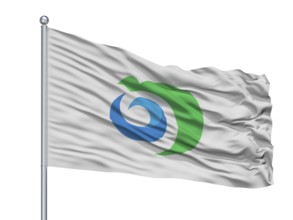Noshiro City Flag On Flagpole, Country Japan, Akita Prefecture, Isolated On White Background