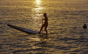 SUP Stand up Surf girl with paddle at sunset