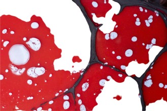 Stylish backgrounds and with elegant minimal pattern. Abstract modern textures. Trendy Design