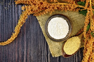 Flour amaranth in a clay bowl, a spoon with grain, brown flower with leaves on a napkin from a