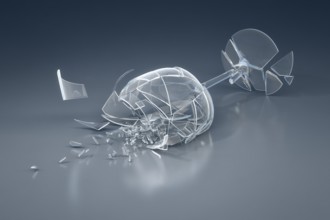 An image of a crushed wine glass